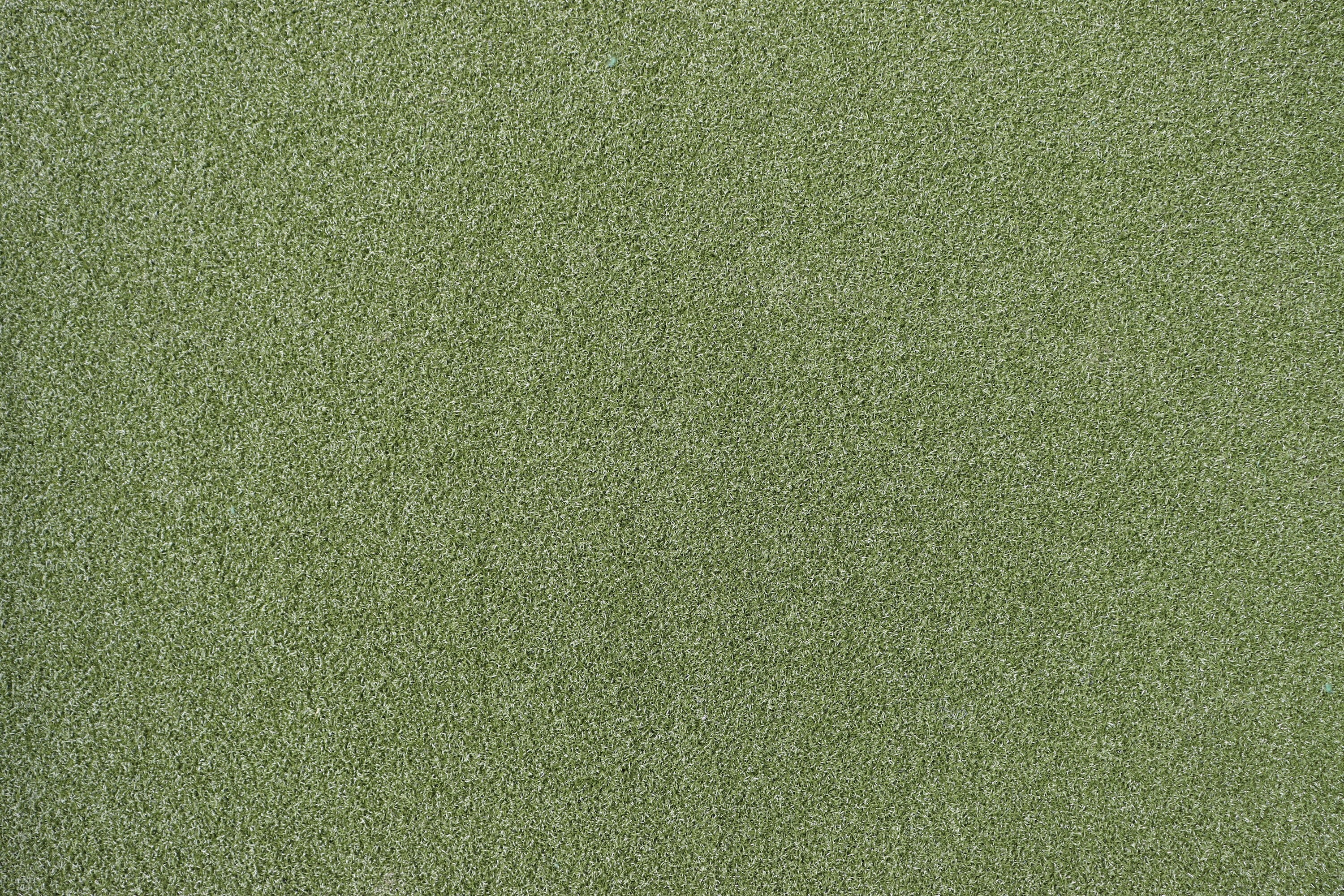 Putting Green