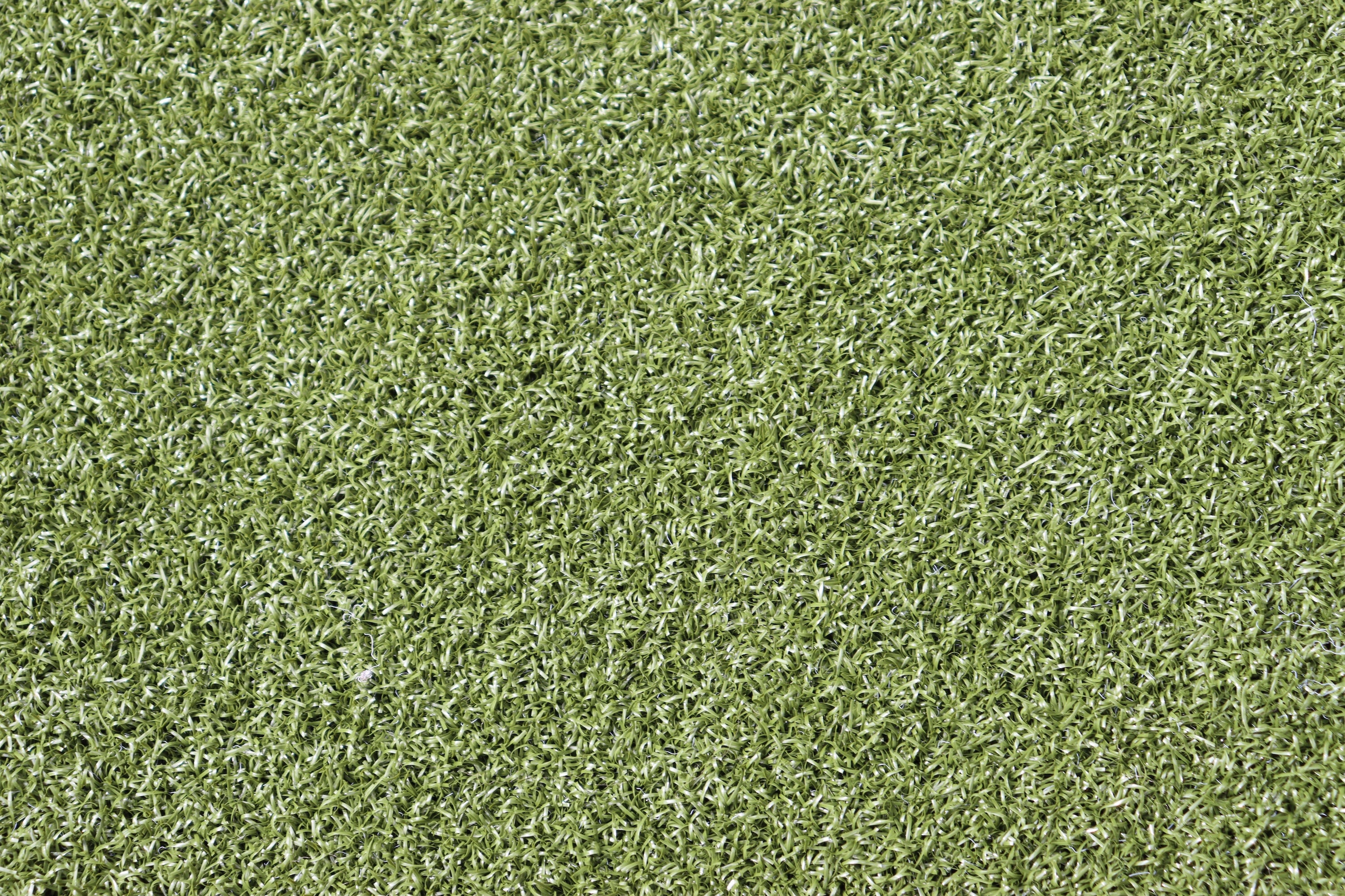 Putting Green