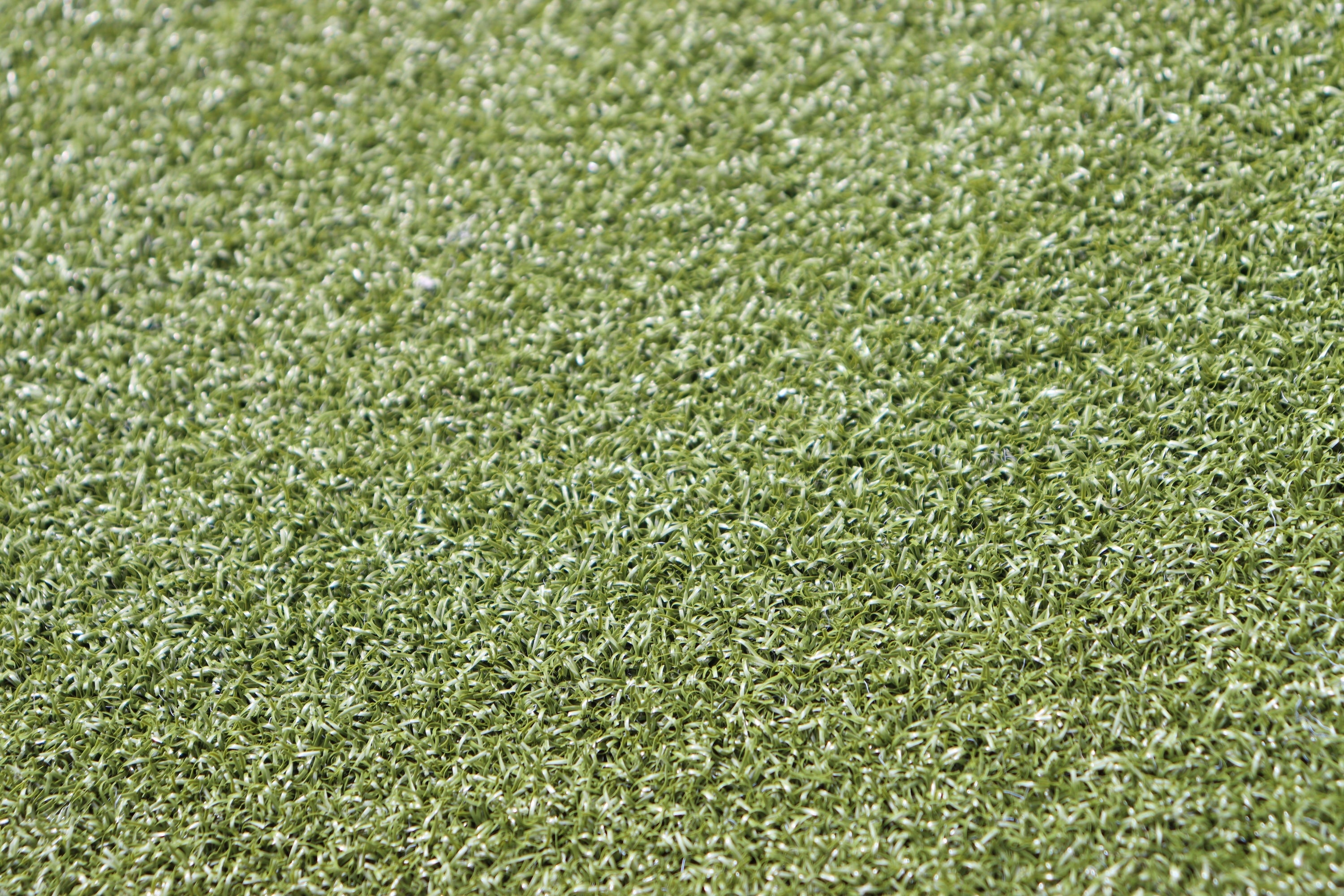 Putting Green