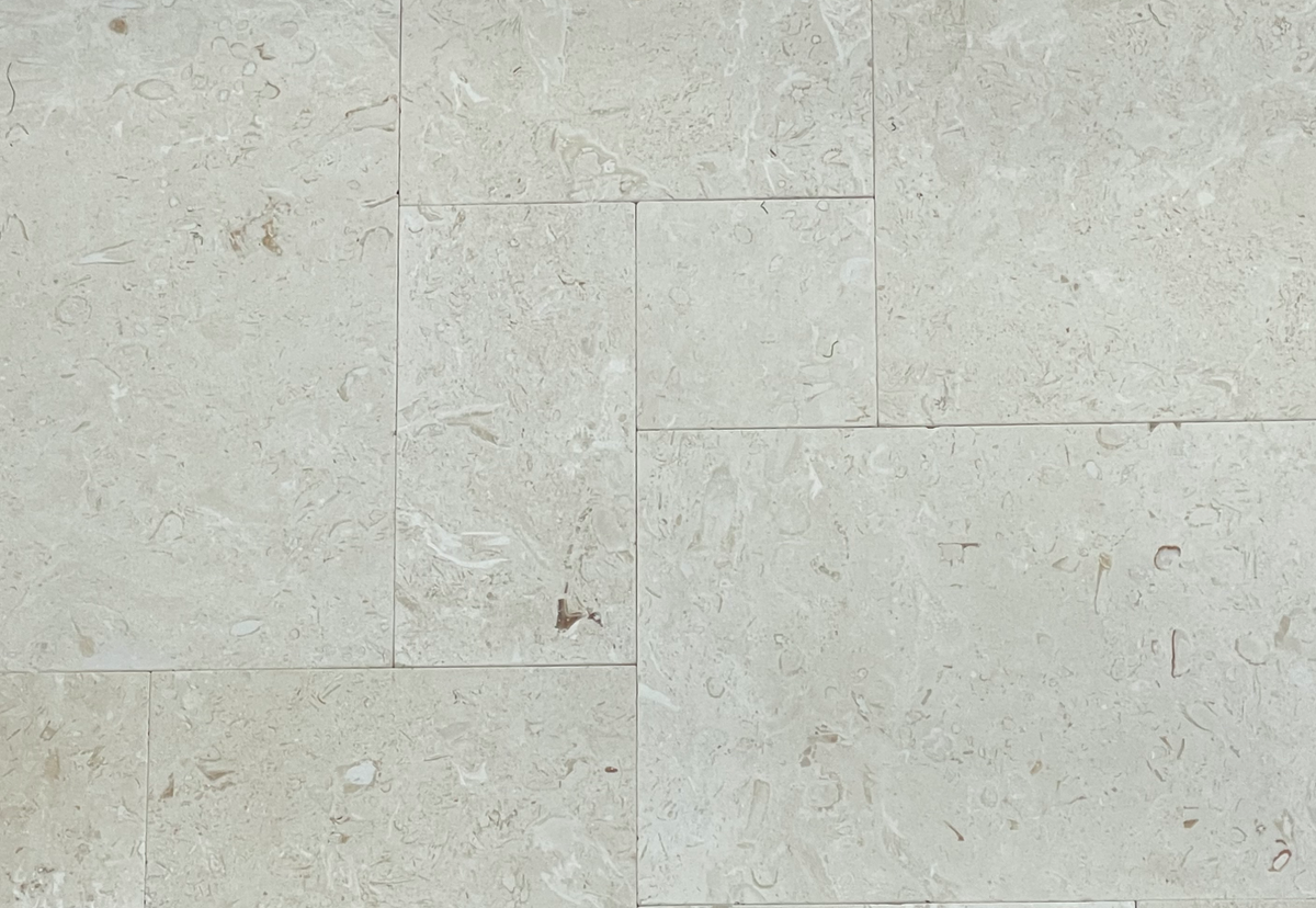 Shell Stone